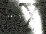 alien03(1).gif (77093 bytes)